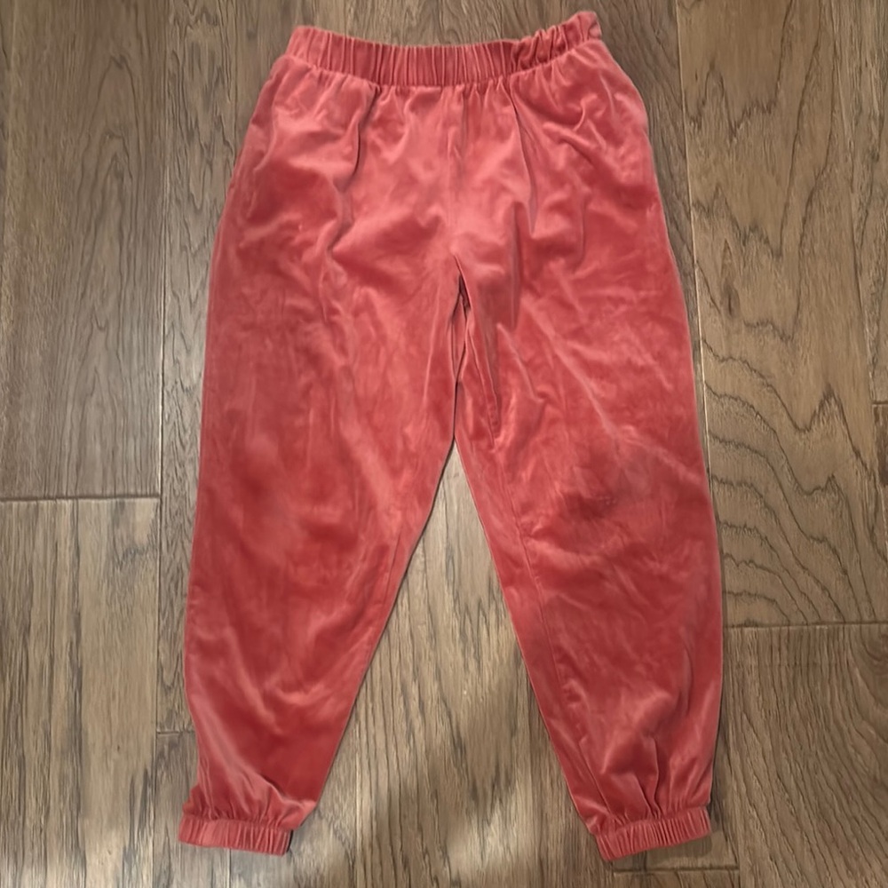 Coral  velour sweatpants